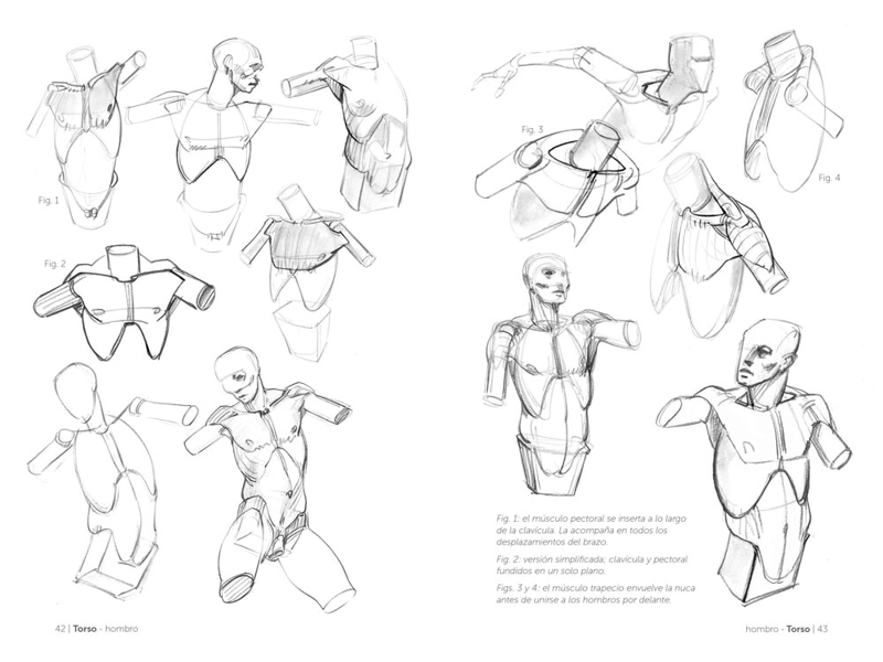 LIBRO ANATOMIA - ANATOMIA ARTISTICA 2 - MICHEL LAURICELLA - 2