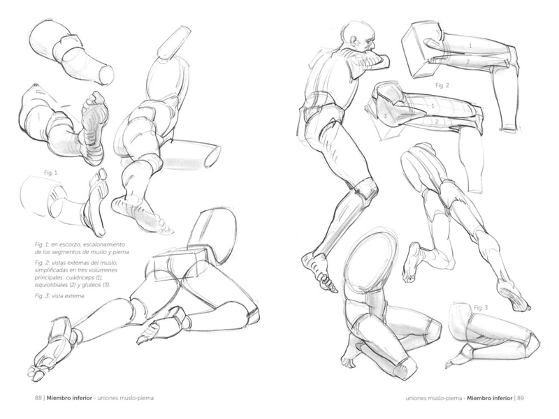 LIBRO ANATOMIA - ANATOMIA ARTISTICA 2 - MICHEL LAURICELLA - 3