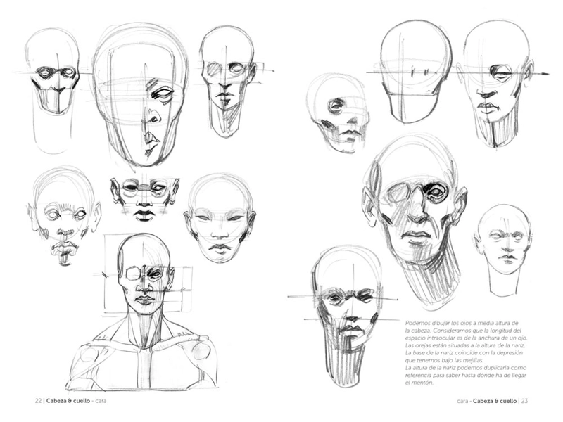 LIBRO ANATOMIA - ANATOMIA ARTISTICA 2 - MICHEL LAURICELLA - 4