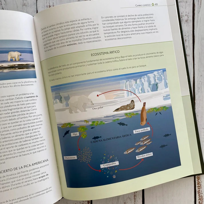 LIBRO EL DE LA ECOLOGIA - GERARDO COSTEA - 2