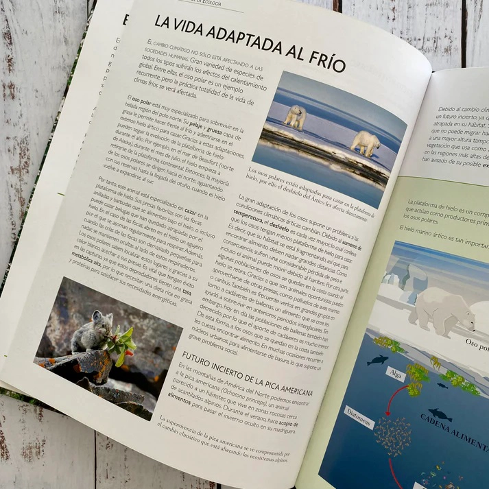 LIBRO EL DE LA ECOLOGIA - GERARDO COSTEA - 3