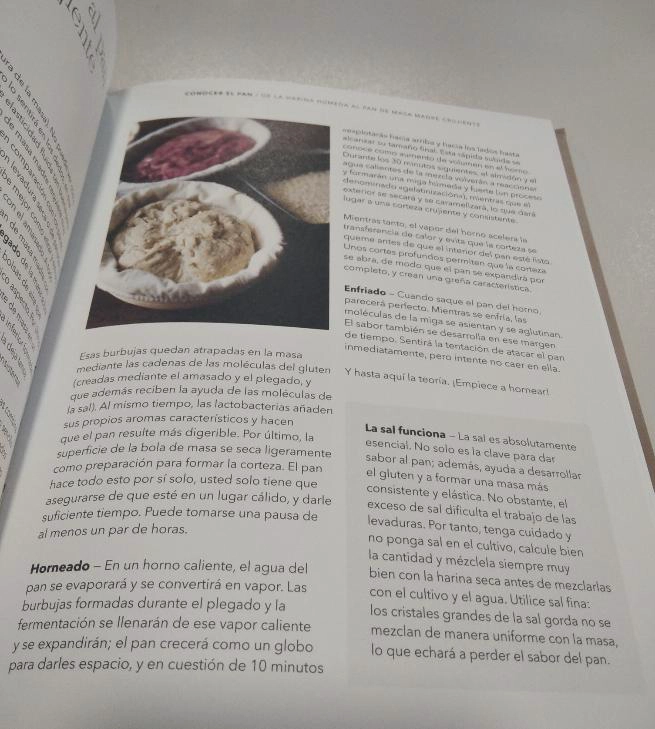 COMO HACER PAN Y ENAMORARSE DE LA MASA MADRE - 2