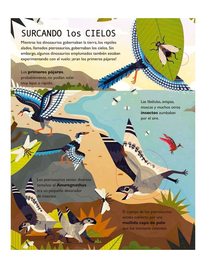 LIBRO 50 CURIOSIDADES SOBRE LOS DINOSAURIOS - WILLIAM PETTY - 3