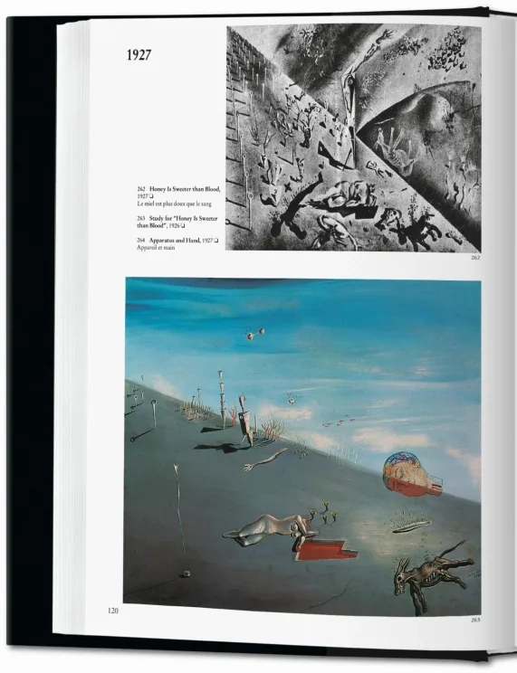 LIBRO BIBLIOTECA UNIVERSAL - DALI - ROBERT DESCHARNES - 2