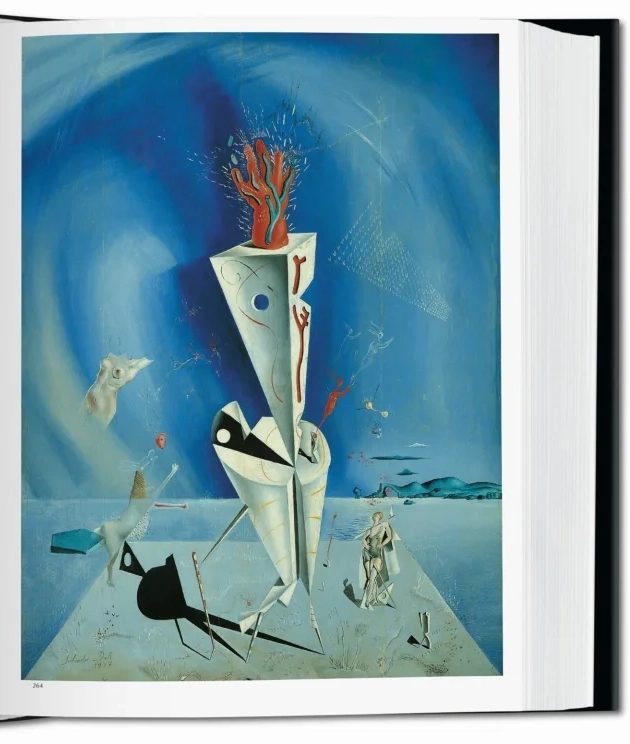 LIBRO BIBLIOTECA UNIVERSAL - DALI - ROBERT DESCHARNES - 3