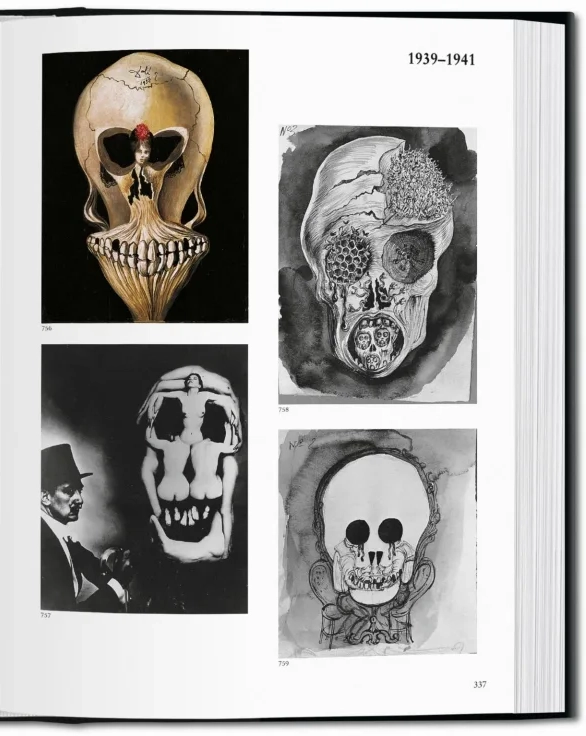LIBRO BIBLIOTECA UNIVERSAL - DALI - ROBERT DESCHARNES - 5