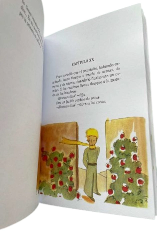 LIBRO EL PRINCIPITO - ANTOINE DE SAINT-EXUPERY - 3