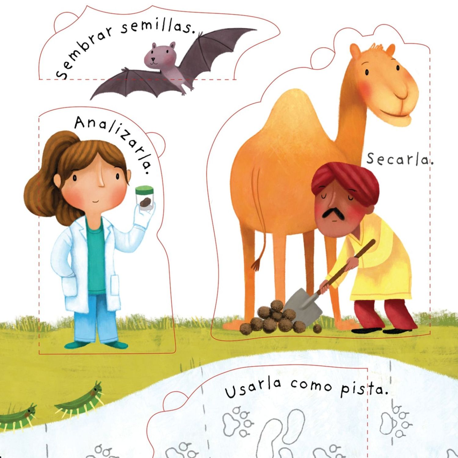 LIBRO PEQUEÑAS GRANDES PREGUNTAS - ¿QUÉ ES LA CACA? - 5