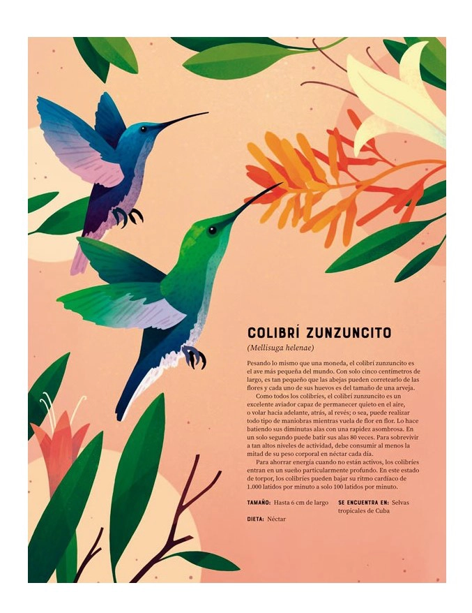LIBRO ENCICLOPEDIA DE ANIMALES - JULES HOWARD - 2