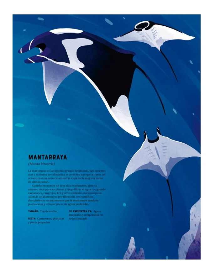 LIBRO ENCICLOPEDIA DE ANIMALES - JULES HOWARD - 3