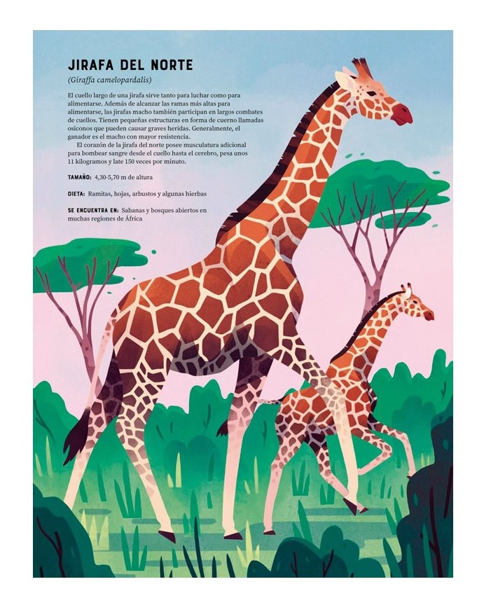 LIBRO ENCICLOPEDIA DE ANIMALES - JULES HOWARD - 4
