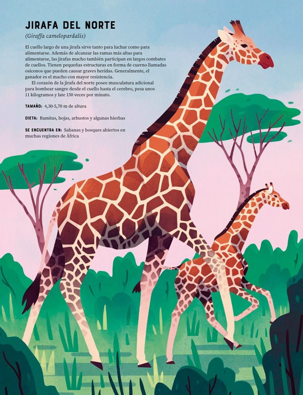 LIBRO ENCICLOPEDIA DE ANIMALES - JULES HOWARD - 7