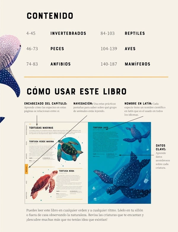 LIBRO ENCICLOPEDIA DE ANIMALES - JULES HOWARD - 9