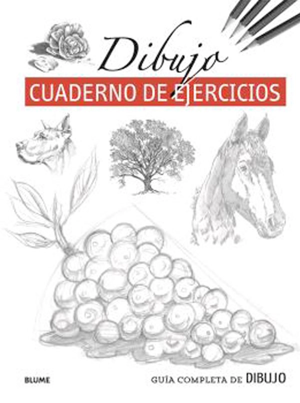 LIBRO GUÍA COMPLETA DE DIBUJO. DIBUJO - VV.AA. - 1