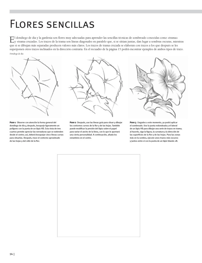 LIBRO GUÍA COMPLETA DE DIBUJO. DIBUJO - VV.AA. - 5
