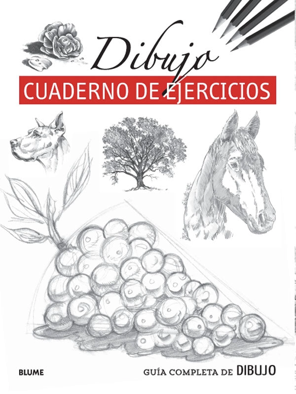 LIBRO GUÍA COMPLETA DE DIBUJO. DIBUJO - VV.AA. - 7