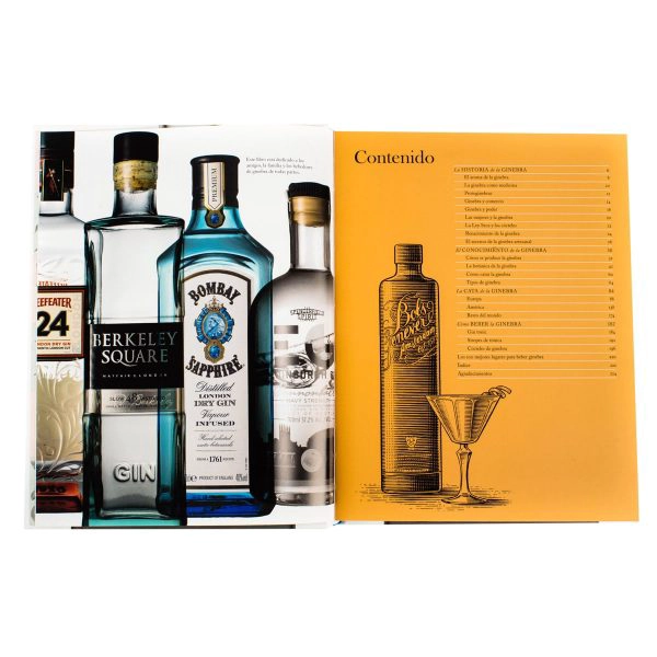LIBRO GINEBRA - AARON KNOLL - 4