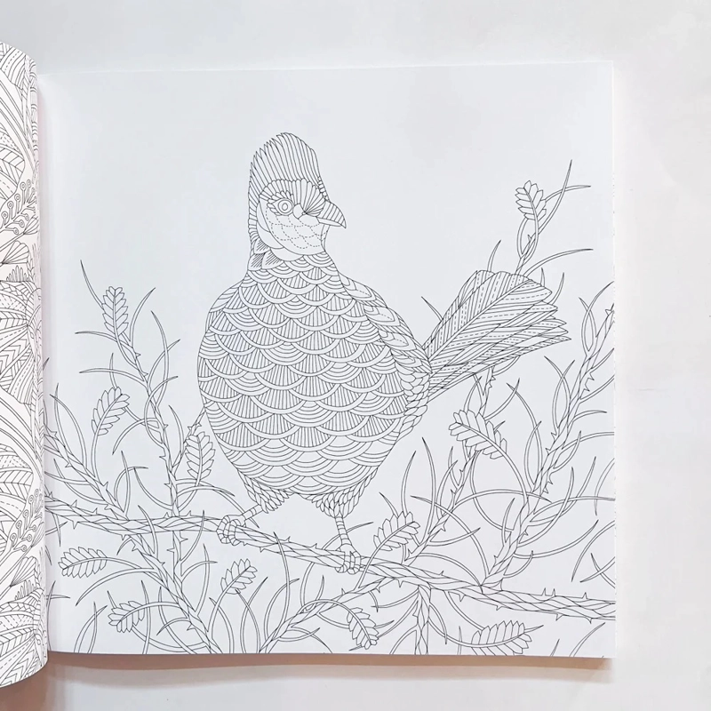 LIBRO LA SABANA SALVAJE. UNA AVENTURA PARA COLOREAR - MILLIE MAROTTA - 2