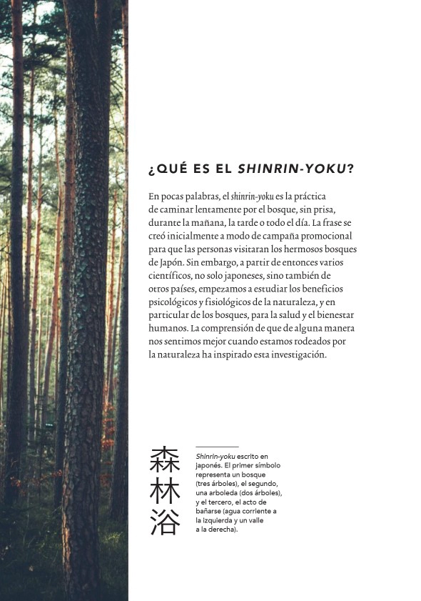 SHINRIN-YOKU. BAÑOS CURATIVOS DE BOSQUE - 4