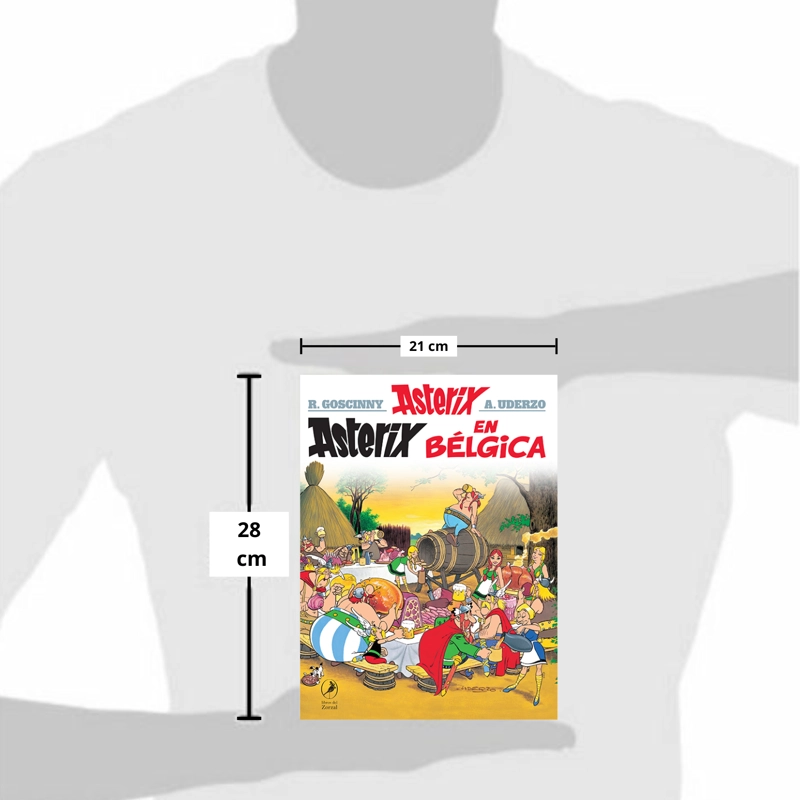 LIBRO ASTERIX 24 EN BÉLGICA - RENÉ GOSCINNY - 2