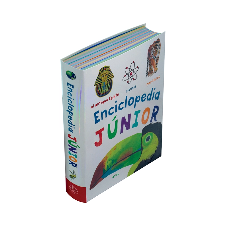 LIBRO 384 PAG - ENCICLOPEDIA JUNIOR - VV.AA - 3