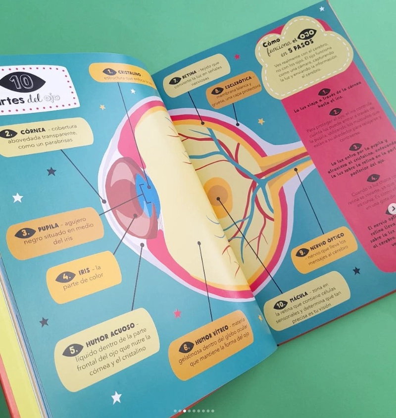 LIBRO EL GRAN LIBRO DE LISTAS CURIOSAS DEL CUERPO HUMANO - RACHEL DELAHAYE - 3