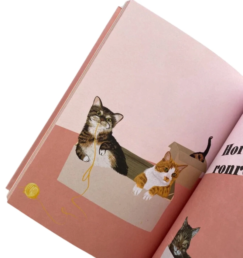 LIBRO PERSONALIDADES GATUNAS - ALISON DAVIES - 2