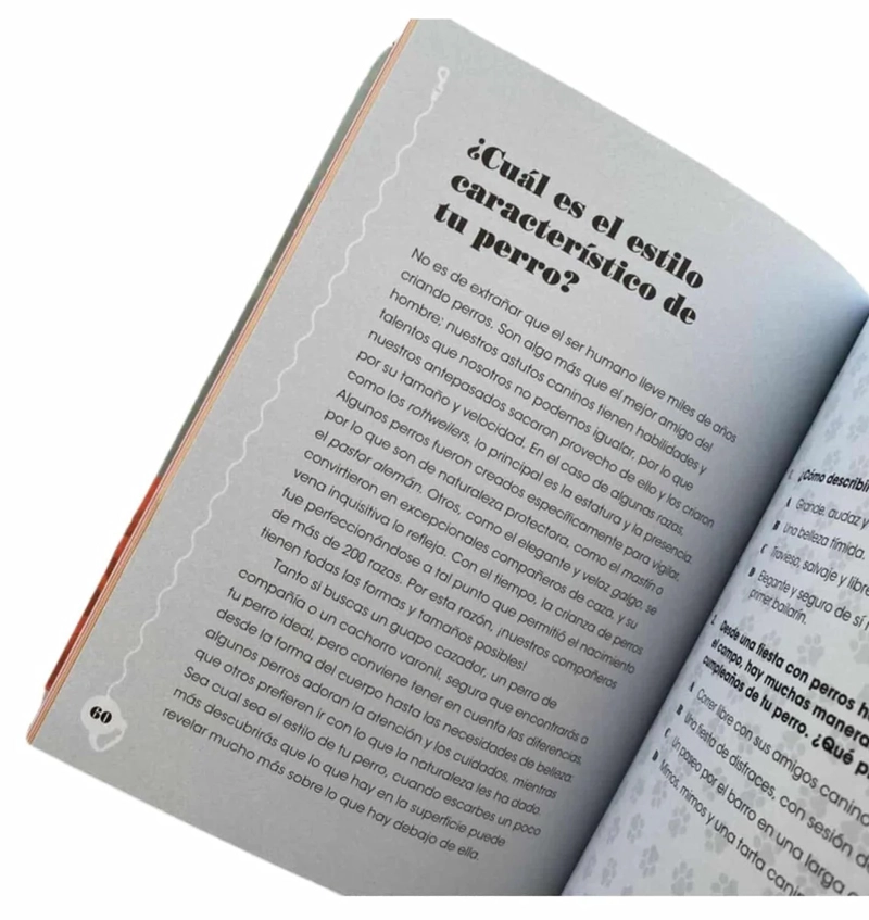LIBRO PERSONALIDADES GATUNAS - ALISON DAVIES - 3