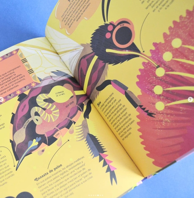 LIBRO ANIMALES POR DENTRO - BARBARA TAYLOR - 2