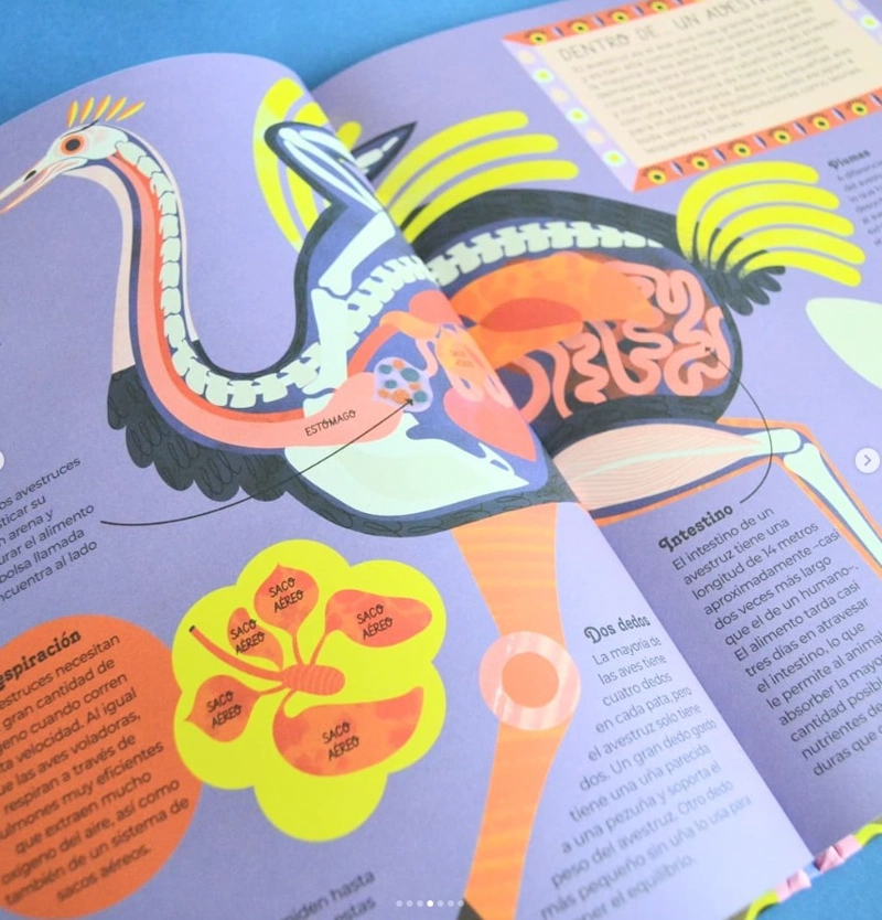 LIBRO ANIMALES POR DENTRO - BARBARA TAYLOR - 3