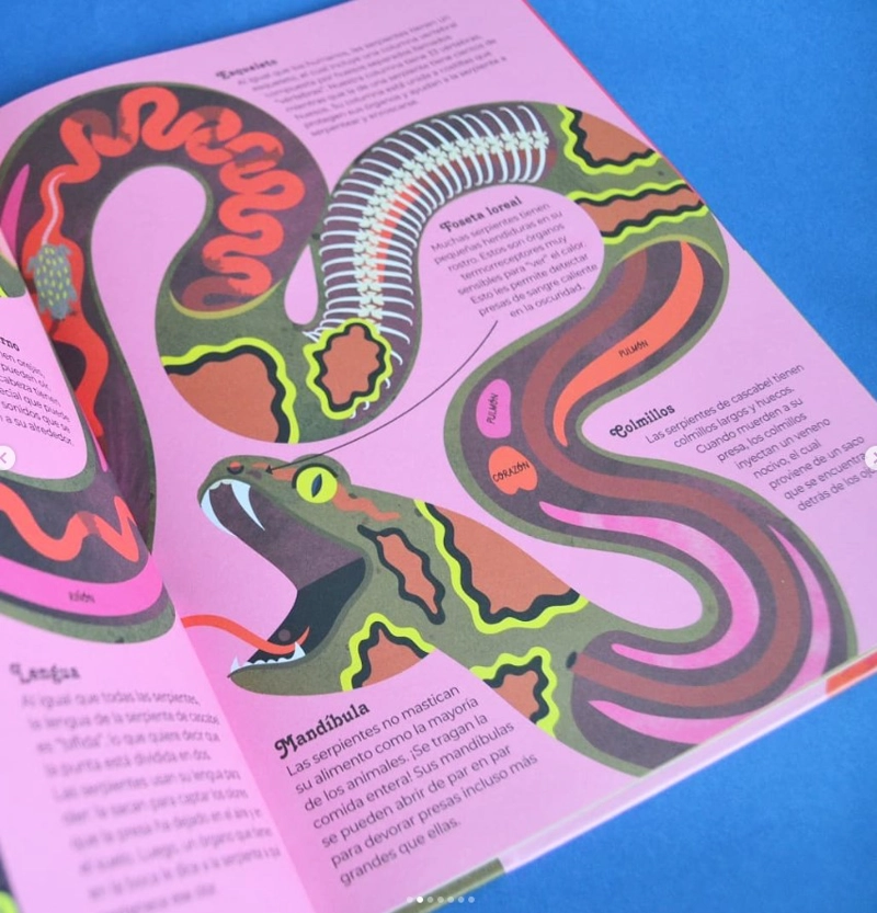 LIBRO ANIMALES POR DENTRO - BARBARA TAYLOR - 5