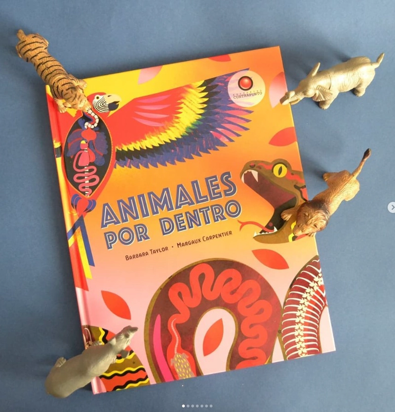 LIBRO ANIMALES POR DENTRO - BARBARA TAYLOR - 6