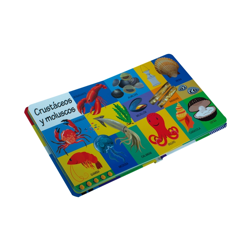 LIBRO 101 IMAGENES - DEL MAR - SILVER DOLPHIN - 3