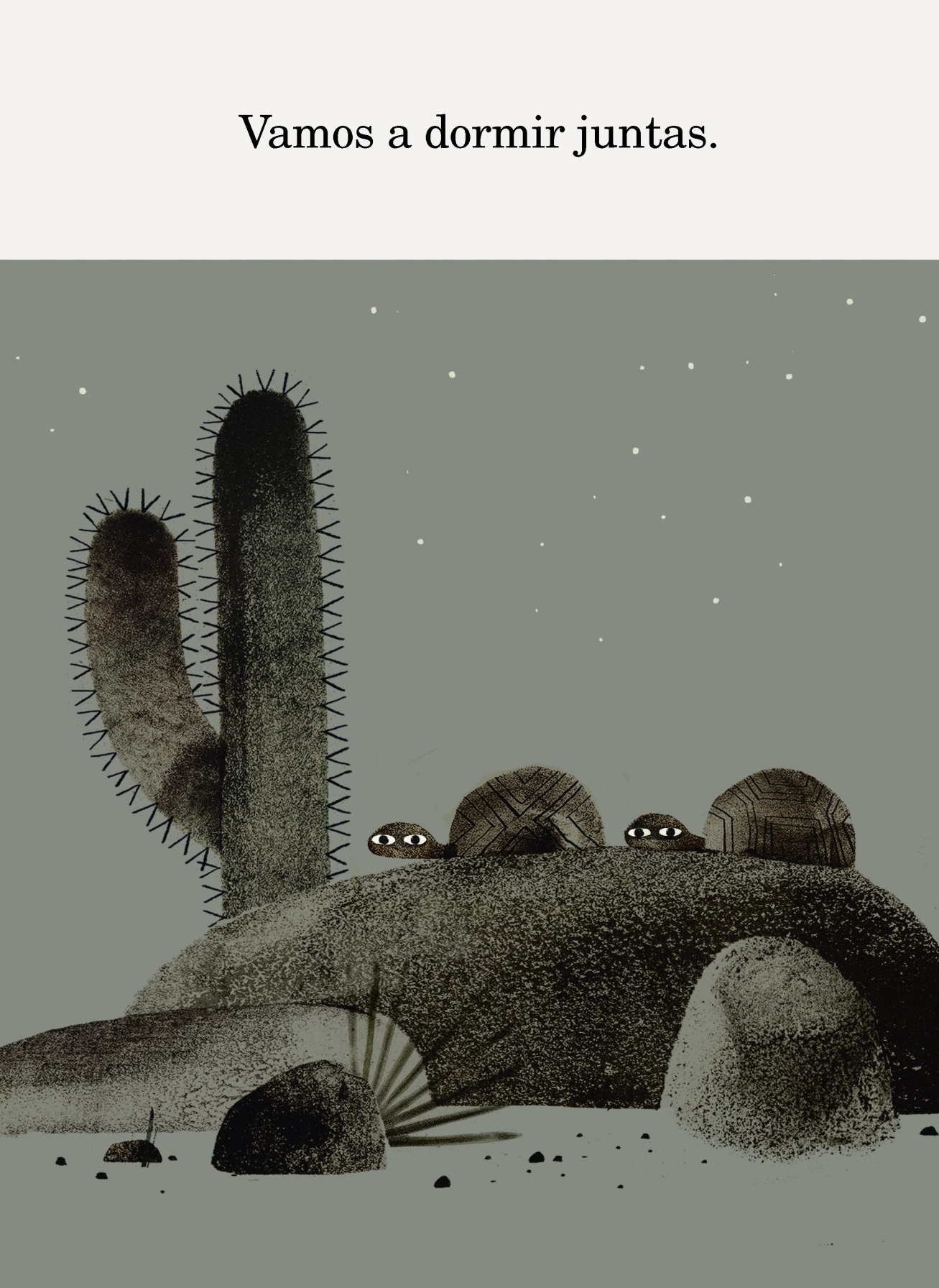 LIBRO DOS TORTUGAS Y UN SOMBRERO - JON KLASSEN - 2
