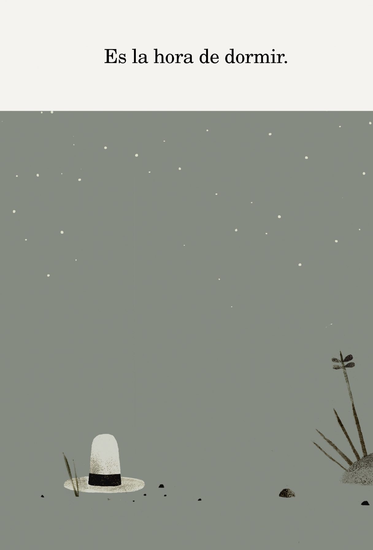 LIBRO DOS TORTUGAS Y UN SOMBRERO - JON KLASSEN - 3
