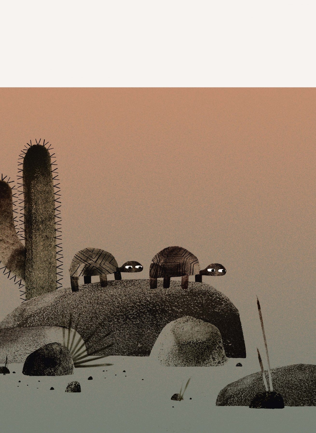 LIBRO DOS TORTUGAS Y UN SOMBRERO - JON KLASSEN - 4