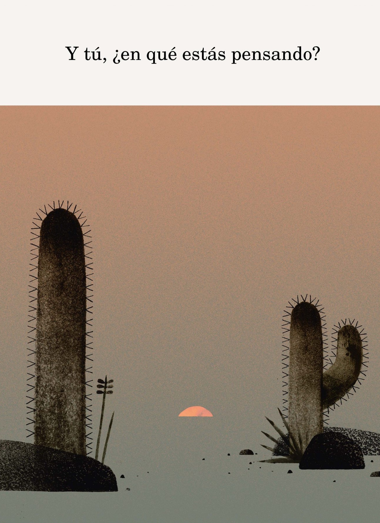 LIBRO DOS TORTUGAS Y UN SOMBRERO - JON KLASSEN - 5