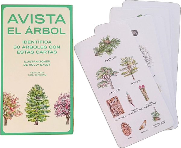 AVISTA EL ARBOL DE EDITORIAL MTM - 4