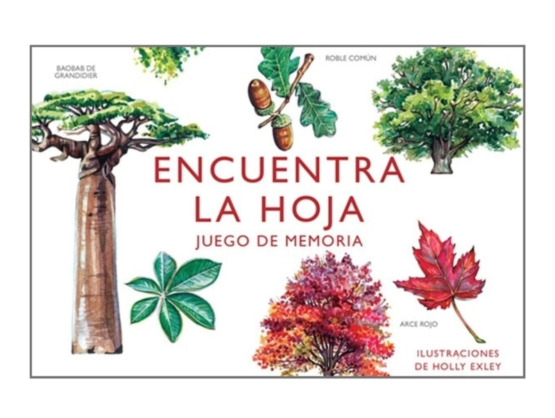 LIBRO JUEGO DE MEMORIA - ENCUENTRA LA HOJA - HOLLY EXLEY - 1