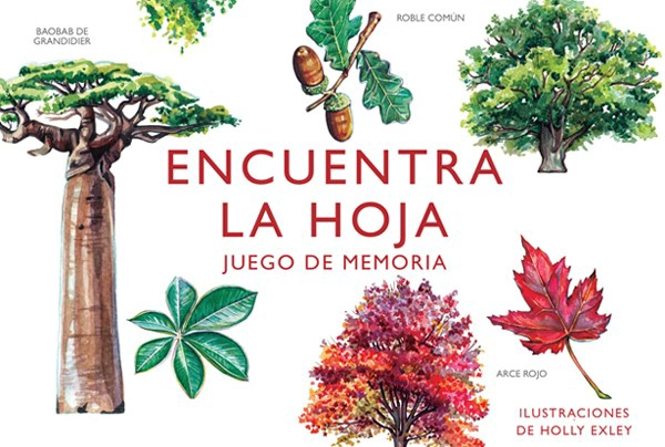 LIBRO JUEGO DE MEMORIA - ENCUENTRA LA HOJA - HOLLY EXLEY - 5