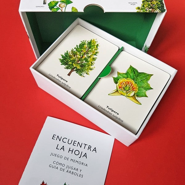 LIBRO JUEGO DE MEMORIA - ENCUENTRA LA HOJA - HOLLY EXLEY - 7