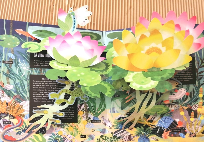 LIBRO POP-UP TIERRA - ANNE JANKELIOWITCH - 3