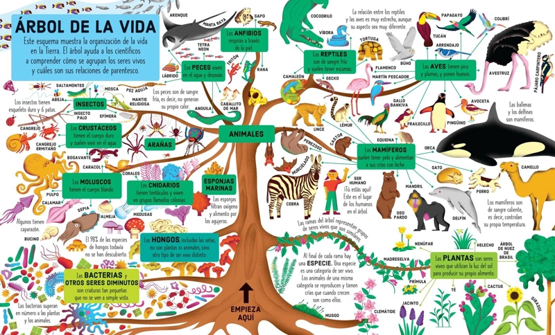 LIBRO Y PUZZLE - ARBOL DE LA VIDA (300 PIEZAS) - 2