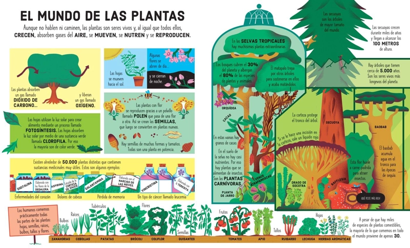 LIBRO Y PUZZLE - ARBOL DE LA VIDA (300 PIEZAS) - 3