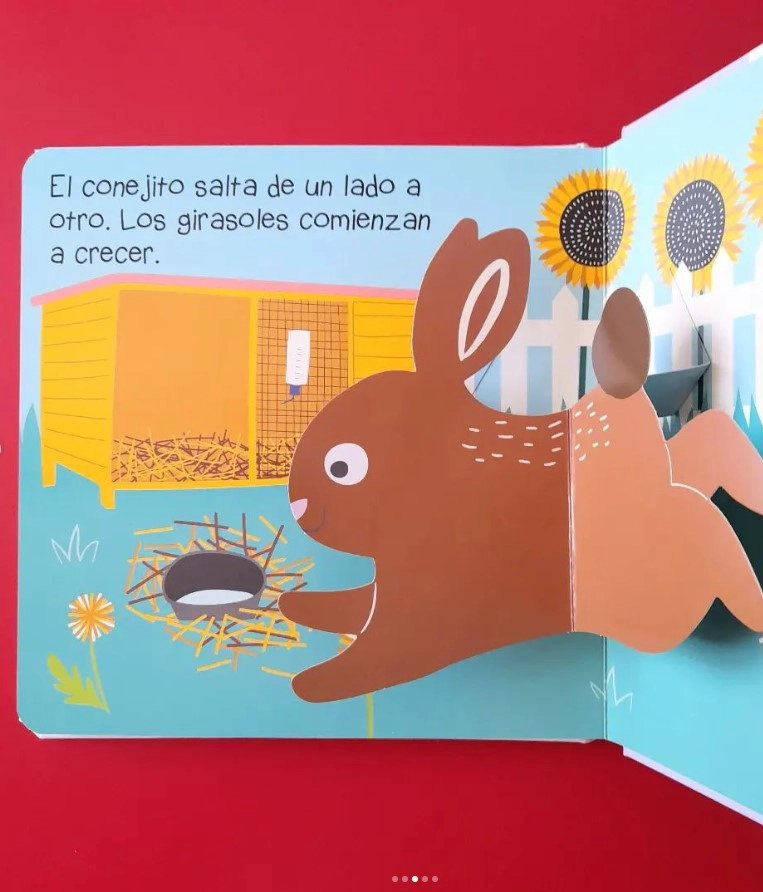LIBRO MASCOTAS POP UP - ALICE POTTER - 3