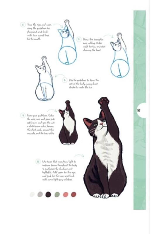 LIBRO DIBUJAR EN 10 PASOS - GATOS - JUSTINE LECOUFFE - 2