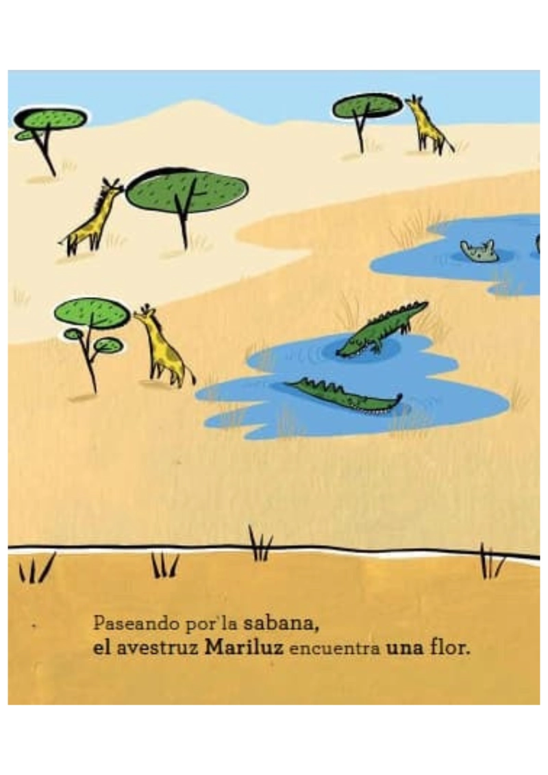 LIBRO UN AVESTRUZ CON MUCHA LUZ - JOSE CARLOS ANDRES - 4