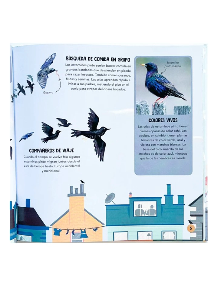 LIBRO EQUIPOS DE ANIMALES - CAROLINE STAMPS - 2