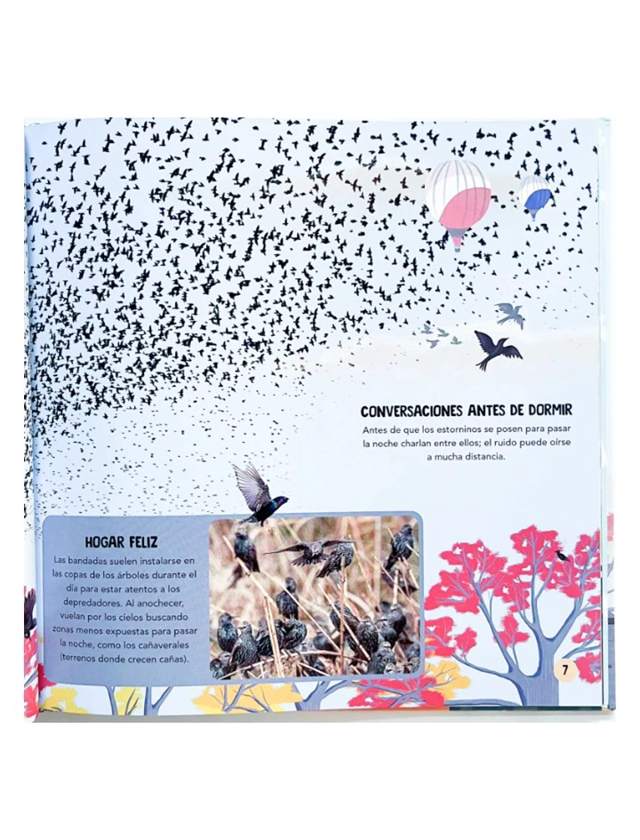 LIBRO EQUIPOS DE ANIMALES - CAROLINE STAMPS - 3