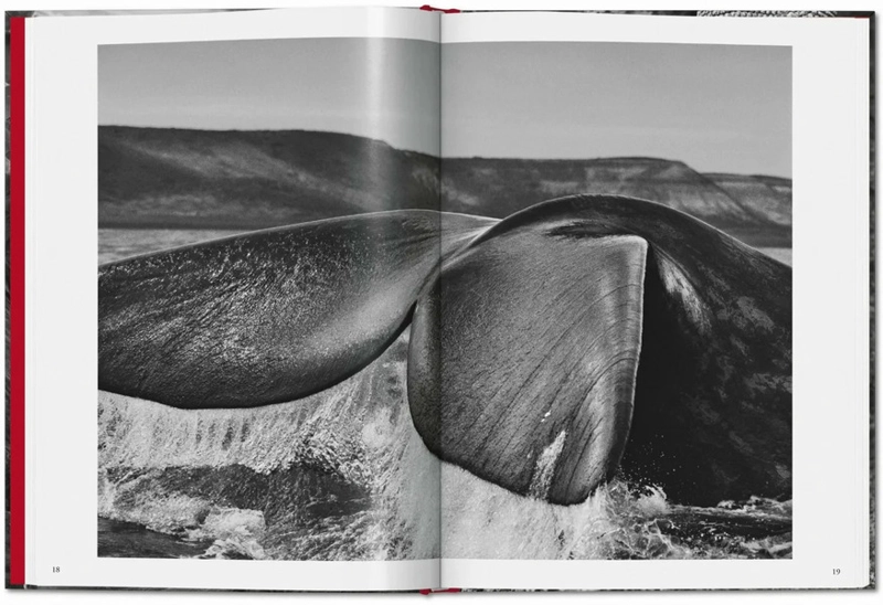 LIBRO GENESIS. SEBASTIAO SALGADO - LÉLIA WANICK SALGADO - 3